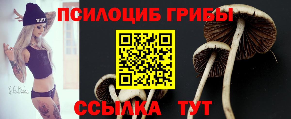 Галлюциногенные грибы мицелий  Вход с VPN  Шадринск 